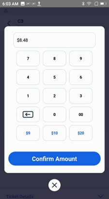 Handheld cash payment — Partial Amount keypad